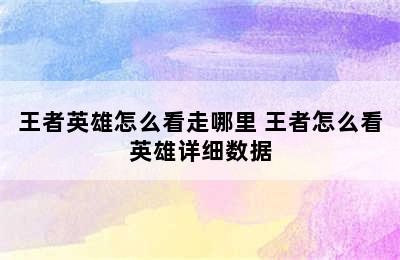 王者英雄怎么看走哪里 王者怎么看英雄详细数据